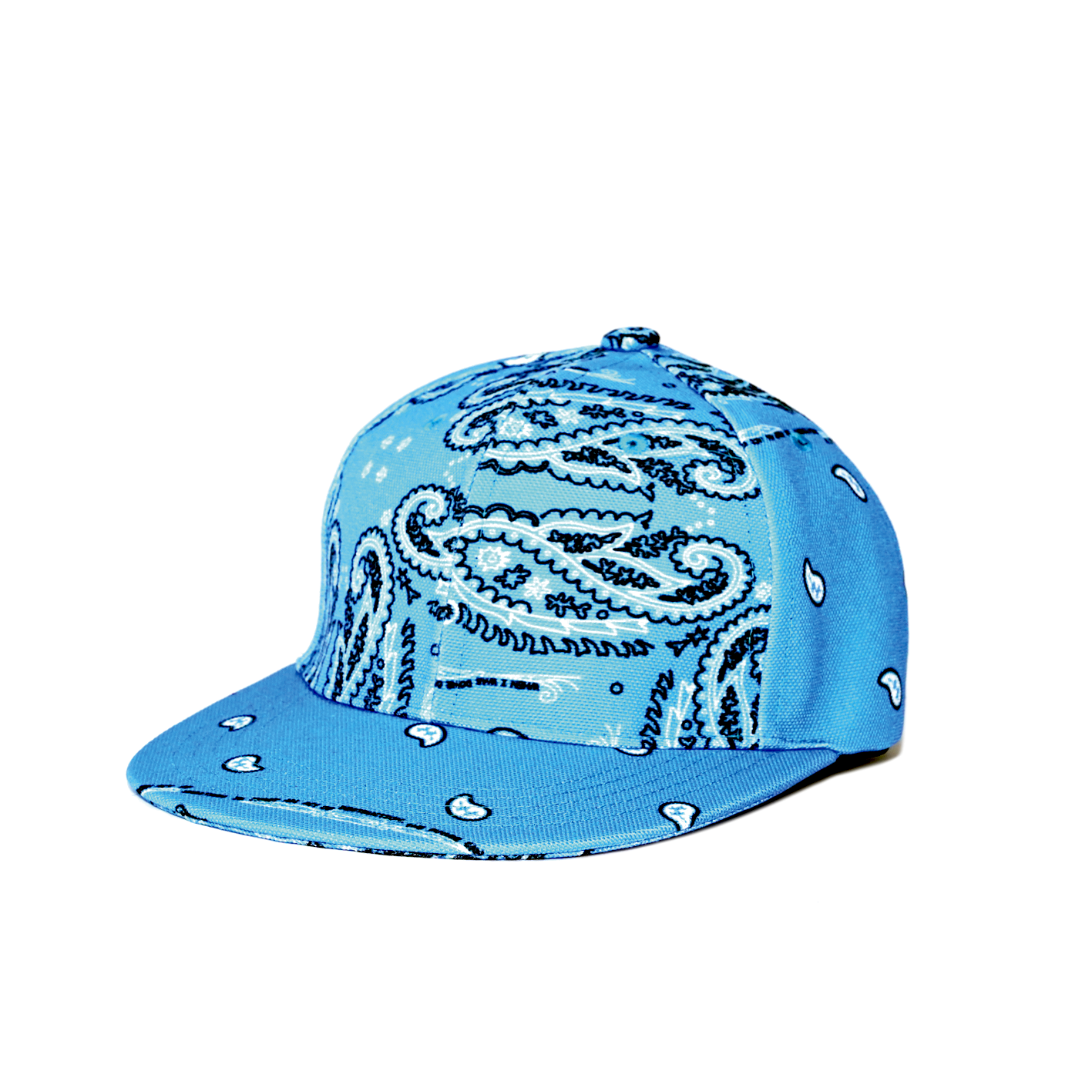 Paisley Classic Cap